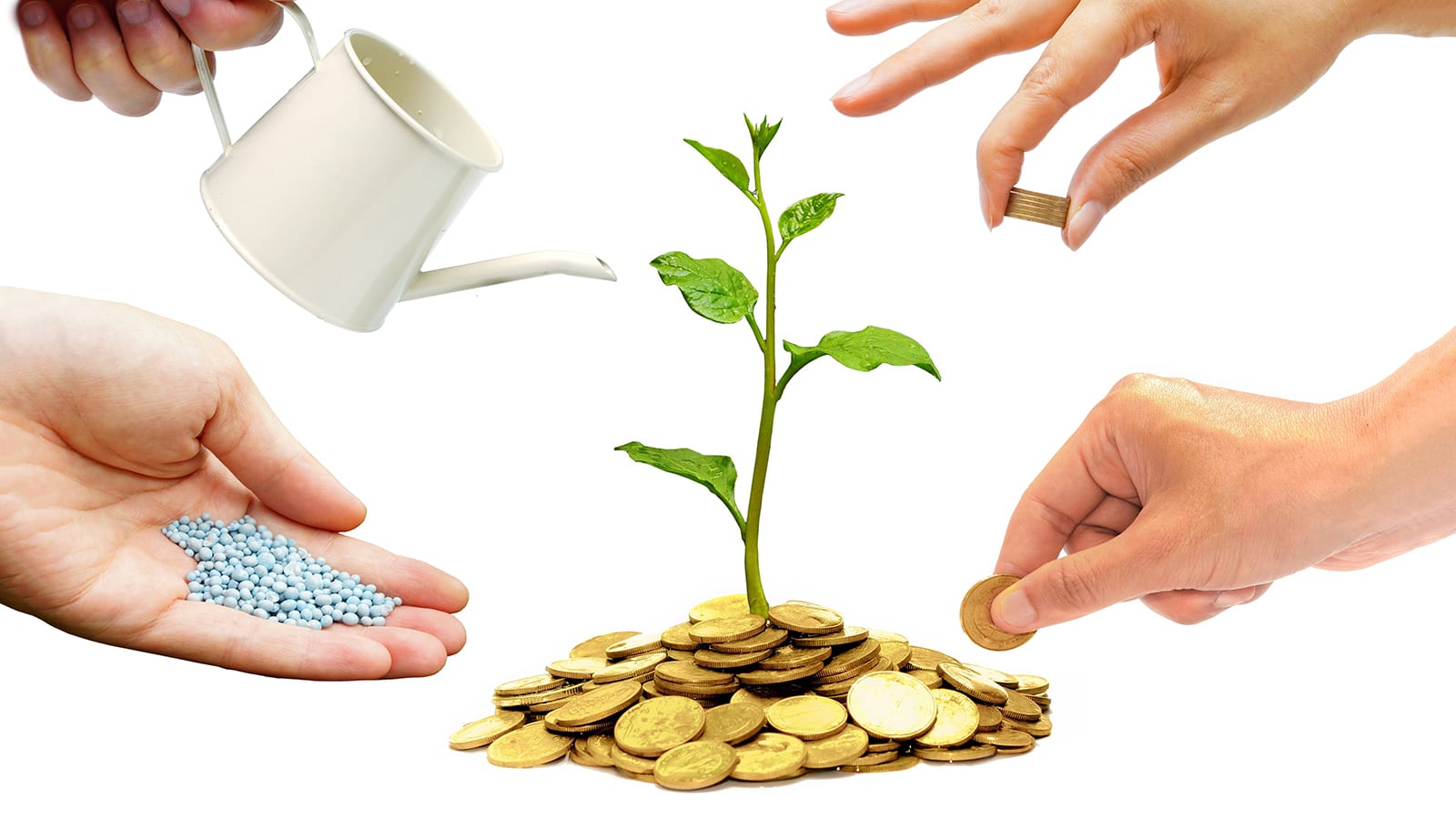 what-is-co-op-marketing