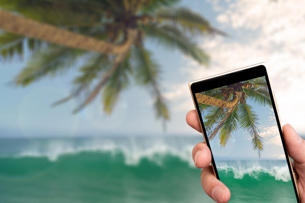 Key Elements of a Successful Digital Marketing Strategy