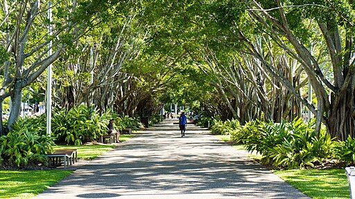 Esplanade, Cairns, near ShangriLa Hotel - panoramio