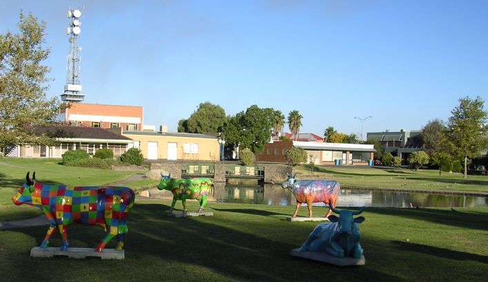 Shepparton cow parade