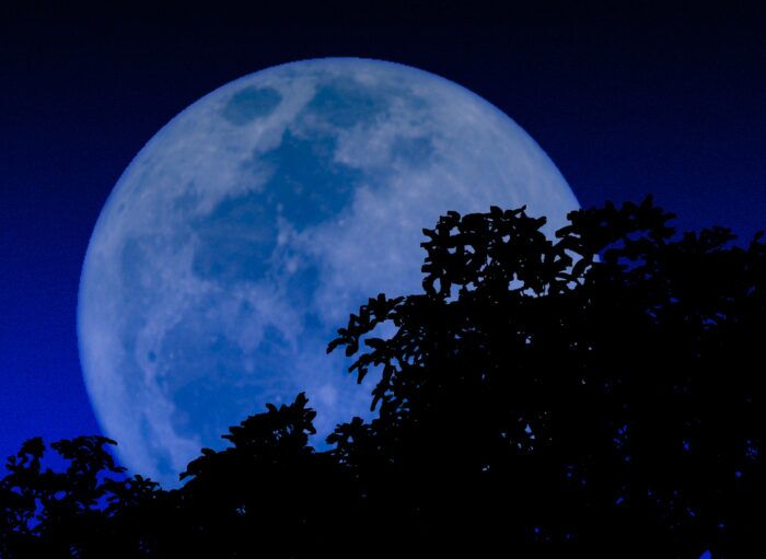 Google Easter Eggs 7 bluemoon