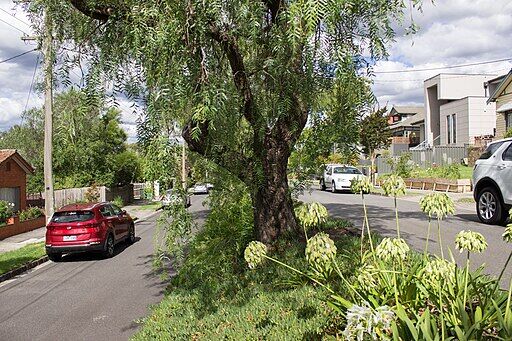 Divided road at Kellett Grove, Kew