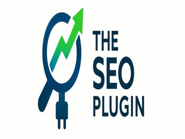 TheSEOPluginLogo 1024x373