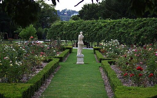 Toowoomba Laurel Bank Park 1
