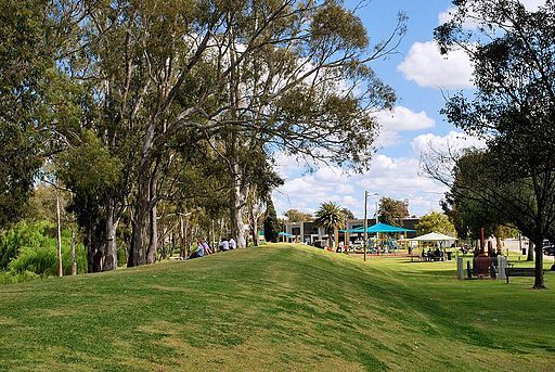 Tocumwal Levee Bank